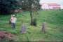 Cemetery